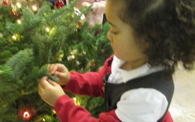 Decorating the Christmas tree