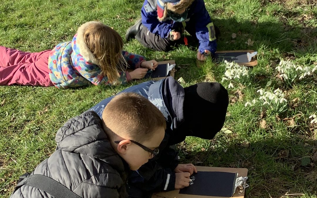 Forest Schools