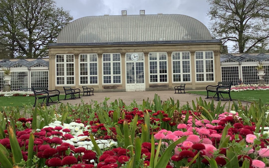 Year 2 Visit to the Botanical Gardens